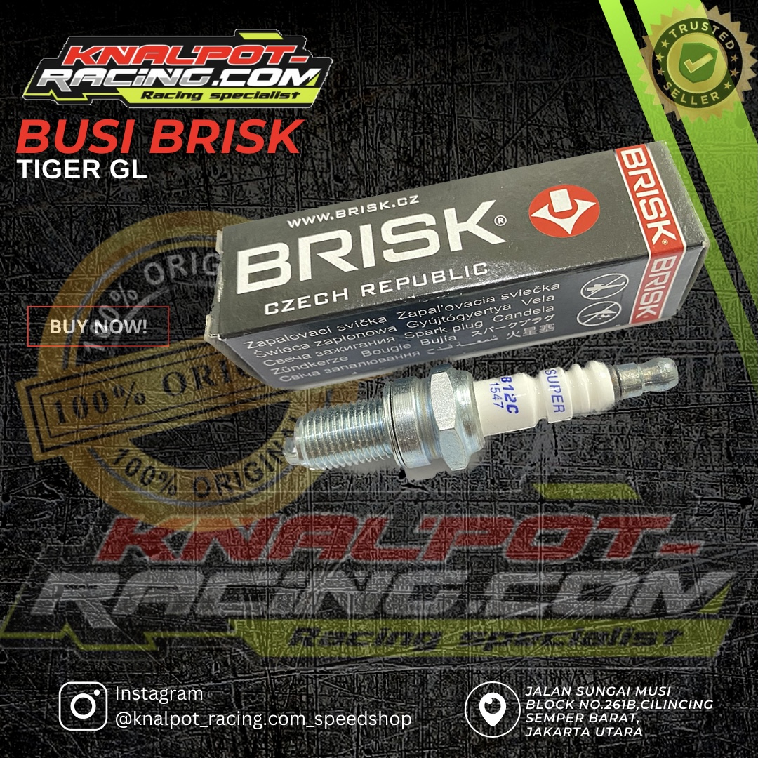 BUSI BRISK TIGER GL